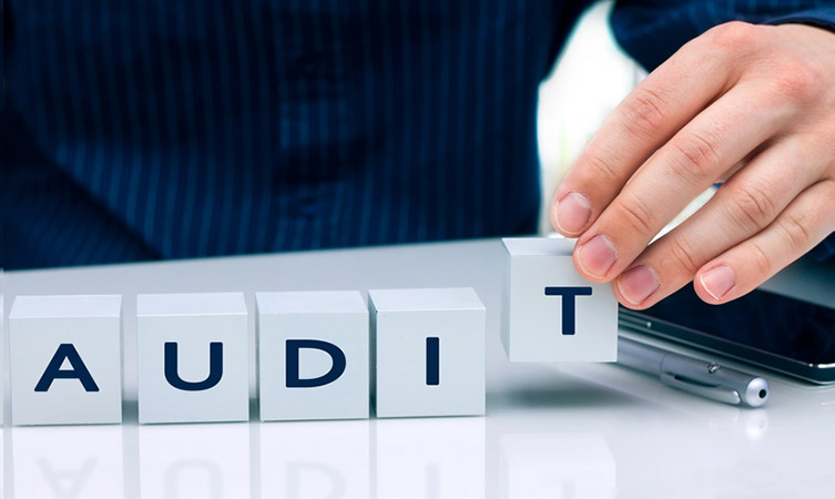 Audit Assistance in the UAE: What you need to know