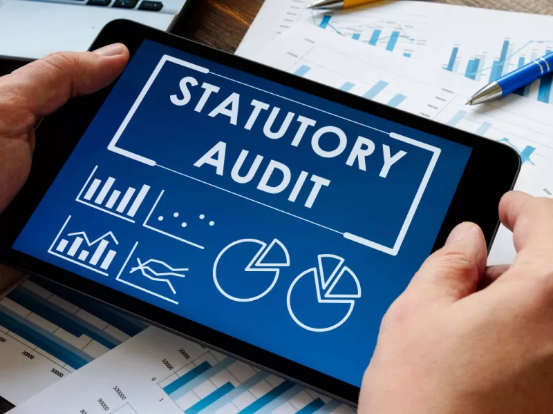 Top Statutory Audit Firms: What Sets the Best Apart